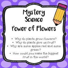 It is rooted in the opposition movement to the vietnam war. Mystery Science Power Of Flowers Video Quiz Google Forms Pdf Included