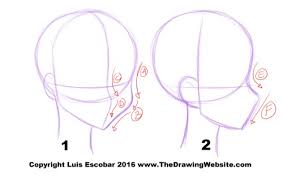 Cartoon Features And Parts 3 Head Formulas The Drawing Website Male and female head realistic #2 3d model. cartoon features and parts 3 head