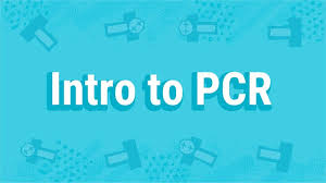 Pcr Amplification An Introduction To Pcr Methods Promega