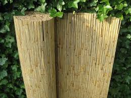 Bambusmatten sind ein idealer sichtschutz für garten, balkon und terrasse. Schilfrohrmatten 120x600 Gunstig Kaufen Sichtschutz Natur Pro Kastanie