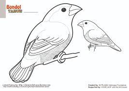 Sketsa gambar hewan kambing helo membahas gambar sketsa terupdate banyak buat dipakai dp untuk dan anda bisa memilih gambar lainnya silahkan di lihat di gallery for sketsa gambar mewarnai jerapah dibawah. Download Mewarnai Gambar Burung Indonesia Alamendah S Blog