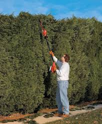 Black And Decker Pole Hedge Trimmer Lpht120 Cordless Long Reach Hedge Trimmer Petagadget Hedge Trimmers Hedges Trimmers