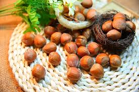 Description hazelnuts contain nearly 91 percent monounsaturated fat and less than 4 percent saturated fat. Ù…Ø§ Ù‡ÙŠ Ø£Ù‡Ù…ÙŠØ© ØªÙ†Ø§ÙˆÙ„ Ø§Ù„Ø¨Ù†Ø¯Ù‚ ÙÙŠ Ø±Ù…Ø¶Ø§Ù† E3arabi Ø¥ÙŠ Ø¹Ø±Ø¨ÙŠ