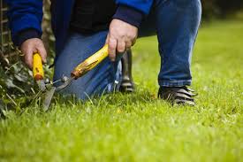 Then use this knowledge to determine which lawn care services you'll offer. 10 Success Tips For Your Landscaping Business