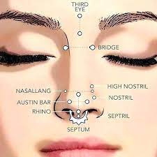 Everything Here Except Septril And Nasallang Also All Are Largely Delicate Nose Piercing Piercing Nasallang Piercing