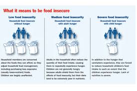 Food insecurity affects millions of people in america, hunger and health seeks to explore the impact of food insecurity and its affect on health outcomes. Reading Writing And Hungry The Consequences Of Food Insecurity On Children And On Our Nation S Economic Success Children S Healthwatch