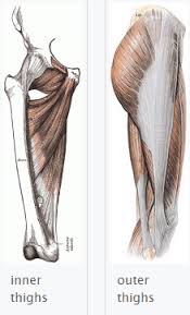 This helps create balanced muscular development and can be accomplished with parallel legs. Muscle Imbalance Inner And Outer Thighs