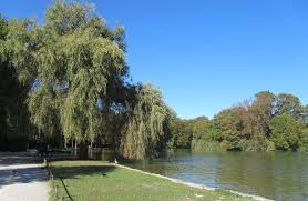 Englischer garten ⭐ , germany, bayern, bundesstadt münchen, englischer garten: Der Kleinhesseloher See Bootsverleih Im Englischen Garten
