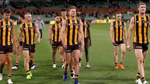 Sam mitchell and shaun burgoyne of the hawthorn hawks. Afl 2020 Hawthorn Must Undergo Total Rebuild Retire Shaun Burgoyne Herald Sun