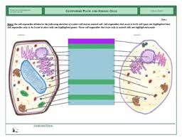 Animal cell gizmo answer key. Comparing Plants And Animals Worksheets Teaching Resources Tpt
