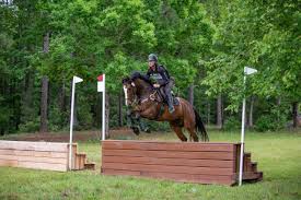 Thoroughbred Logic: All the Potential