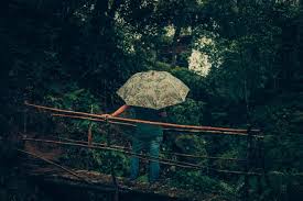 Scopri ricette, idee per la casa, consigli di stile e altre idee da provare. Ela Ecoland Nature Retreat Munnar Updated 2021 Prices