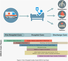 This regional event is set to start on 15 september 2021, wednesday. Scai Expert Consensus Statement On Out Of Hospital Cardiac Arrest Lotfi 2020 Catheterization And Cardiovascular Interventions Wiley Online Library
