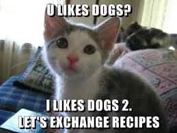I Likes Dogs 2 Https Cheezburger Com 9244266496 Funny Cat Memes Cute Funny Animals I Like Dogs