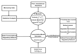 A Flowchart Of Our Transcription Model Microarray Data