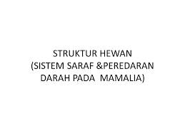 We did not find results for: Struktur Hewan Sistem Saraf Peredaran Darah Pada Mamalia Ppt Download