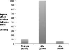 Rana suzana is on facebook. The Search For True Numbers Of Neurons And Glial Cells In The Human Brain A Review Of 150 Years Of Cell Counting Bartheld 2016 Journal Of Comparative Neurology Wiley Online Library