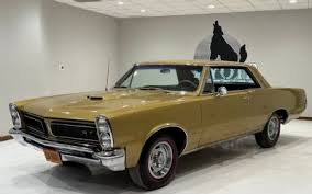 Image result for Tiger Gold 1965 GTO