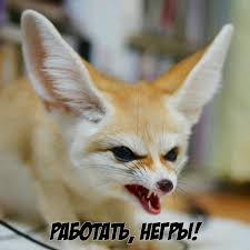 images?q=tbn:ANd9GcTedIIGUMibj8TgPKzBzrO