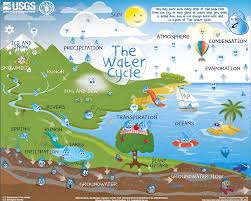 The Water Cycle For Kids Water Cycle For Kids Cycle For Kids Water Cycle