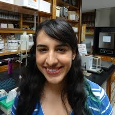 Past Internship Projects