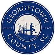 Voting Results Georgetown County South Carolina Government