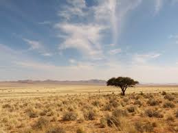 Namibia Reisetipps Uberblick Uber Das Land Choices Of Life Travelblog Reisen Reisetipps Namibia