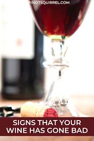 Pin On Best Of Pinotsquirrel