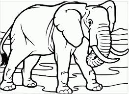 Galeri gambar gajah lucu unik pernik dunia gambar diatas adalah gambar gajah lucu anak 10 gambar sketsa gajah paling mudah bagus gambar mania sumber gambarmania.website. Mewarnai Gambar Sketsa Gajah Mudah Terbaru Kataucap