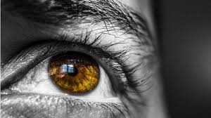 Namun bagaimana jika kedutan terjadi di mata kanan dan kiri bawah? Arti Kedutan Di Kelopak Mata Kanan Bawah Benarkah Pertanda Akan Kehilangan Tribun Batam