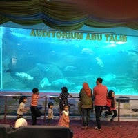 Batu apung filter 3kg kemasan waring. Fisheries Department Research Institute Aquarium Batu Maung Pulau Pinang