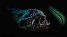Bottom of the sea creatures