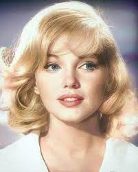 Justizia" Daniel Amberg 100x60 cm Acryl auf Leinwand