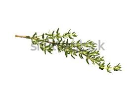 Fresh thyme market provides a healthy and fresh new way to grocery shop. Anpjnkiuz79hbm