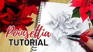How to draw santa claus step by step easy. How To Draw A Poinsettia Christmas Flower Youtube