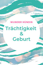 Trachtigkeit Der Hundin Und Geburt Der Welpen Welpen Hunde Anatomie Hund