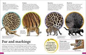 The domesticated ones have even found a home in neighborhoods while others continue to thrive in the wild. Dkfindout Big Cats Dk 9781465479297 Amazon Com Books
