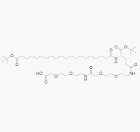 tBuO-ICO-Glu(AEEA-AEEA-OH)-OtBu (Fatty Acid Side Chain ...