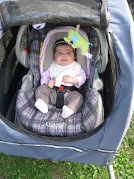 Surlygirl Biking With Baby Put The Carseat Into A Dog Trailer Baby Car Seats Dog Trailer Bike