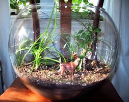 My 10 year old little sister made this terrarium, im not a plant expert or something but it kinda looks. Room Terrarium Inhabitat Green Design Innovation Architecture Green Building