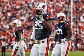 Image result for Deep Auburn 2012 200