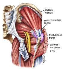 Pain on the inside of your hip or groin could be an indication that there's a problem with your hip joint. Lateral Hip Pain Physica