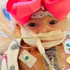 Fundraiser by Terri Tucker : Payton Lea Crouse