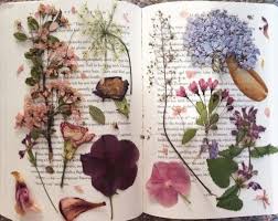 Love Yourself Like The Universe Does Pressed Flowers Flower Art Flowers Photography