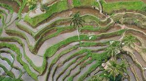 17 pemandangan alam terindah di dunia keren banget 11 7 2021 ada beberapa tempat terindah dan terunik di dunia yang harus kamu kunjungi sebelum meninggal dunia 17 pemandangan alam terindah di dunia keren banget sea of stars maladewa salah satu pantai paling indah di dunia pada malam hari pasir pasirnya terkesan menyala biru seperti bintang yang disebabkan oleh plankton Indonesia Peringkat 6 Negara Paling Indah Di Dunia Keindahannya Membuat Wisatawan Terkesan Bangka Pos