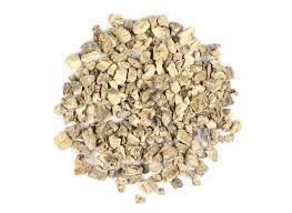 Image result for Harpagophytum zeyheri