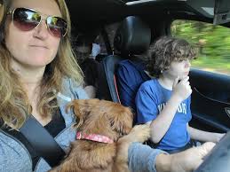 Introduction to Pink Profit online community