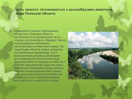 проект по окружающему миру 3 класс разнообразие природы родного края Proekt Po Okruzhayushemu Miru Raznoobrazie Prirody Rodnogo Kraya Prezentaciya Onlajn