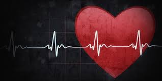 KALP ile ilgili gÃ¶rsel sonucu