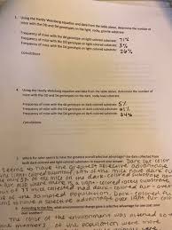 ** answer key ** answers are in italics. Solved 3 Using The Hardy Weinberg Equation And Data From Chegg Com